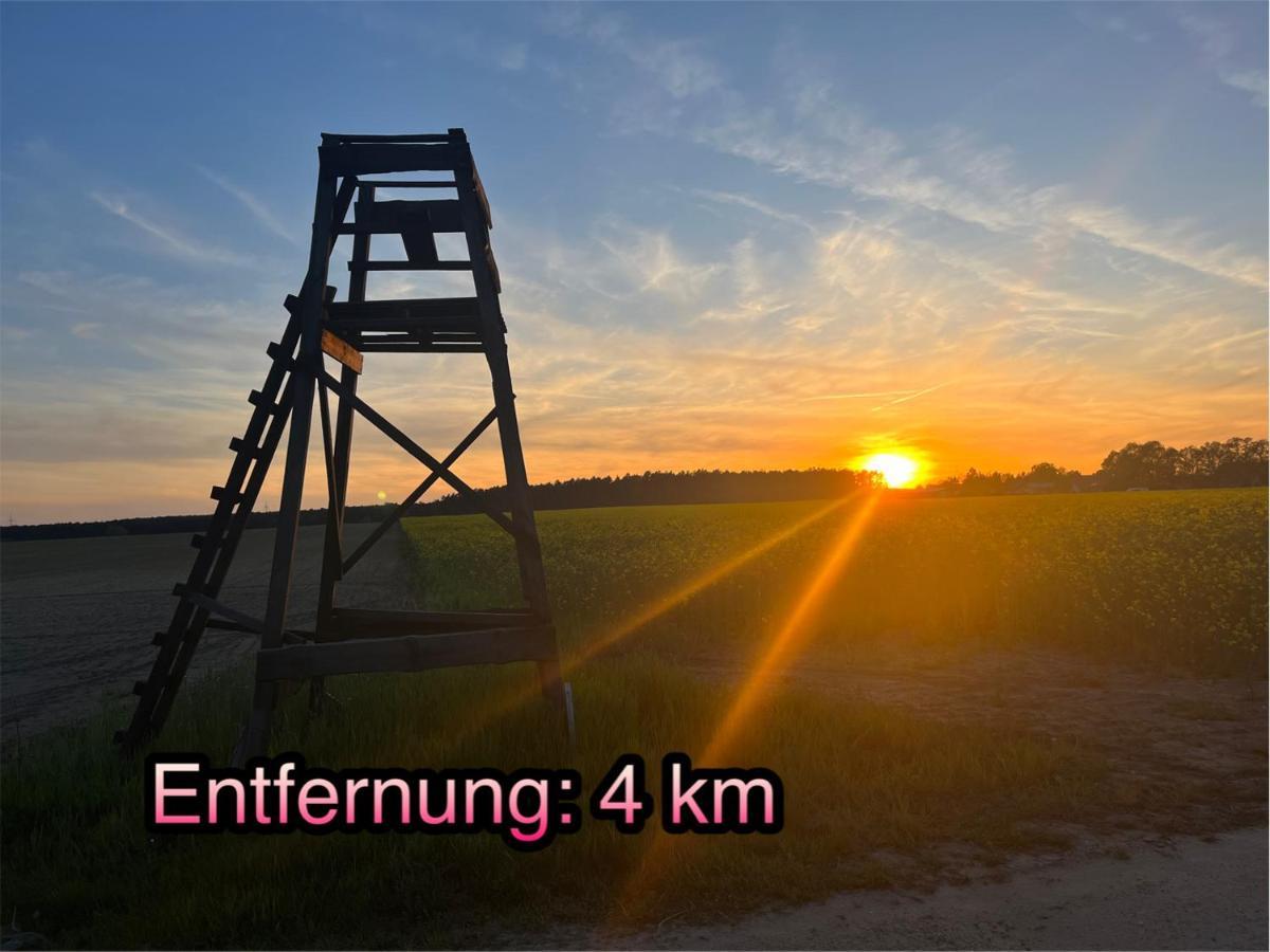 Wormis Apartment Heideblick Bei Luckau Екстериор снимка